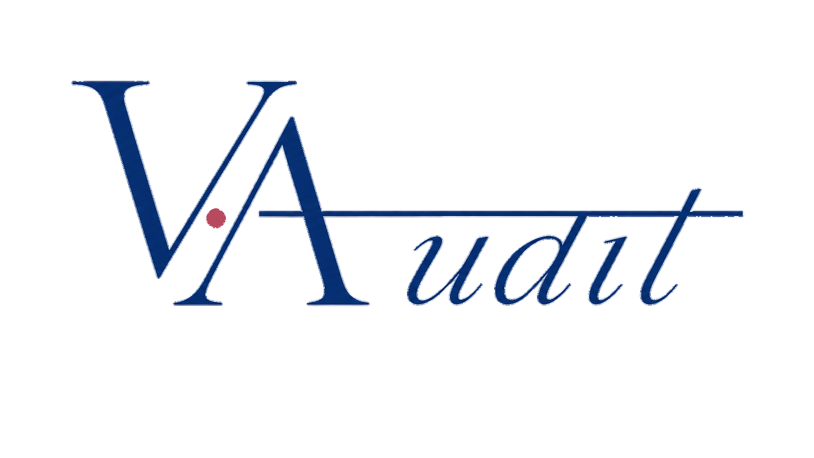 V-AUDIT